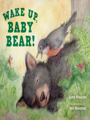 cover image of Wake Up, Baby Bear!